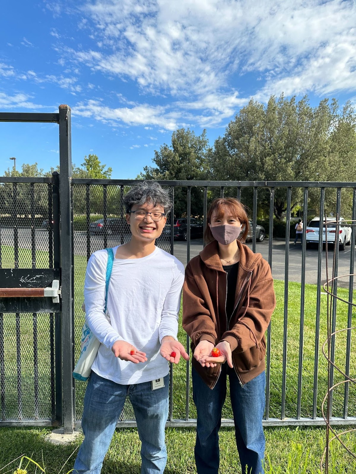 Students holding harvested strawberries and tomato
